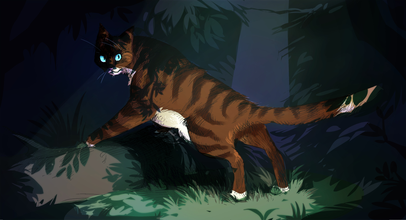 a brown and white cat stands dramatically in shadow